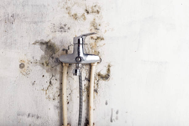 Best Mold Testing  in Norco, LA