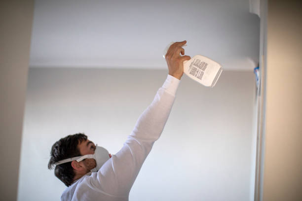 Best Emergency Mold Removal  in Norco, LA