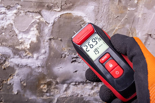 Best Mold Cleaning Services  in Norco, LA