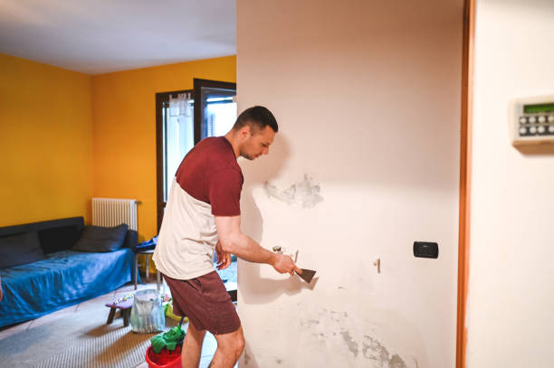 Best Best Mold Removal Companies  in Norco, LA