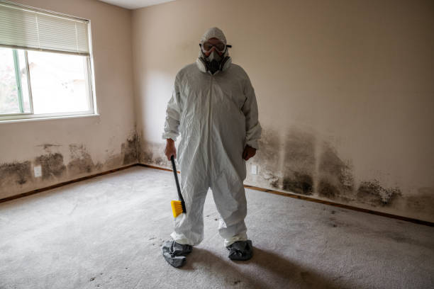 Best Fast Mold Removal  in Norco, LA